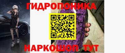 крисы Лесосибирск