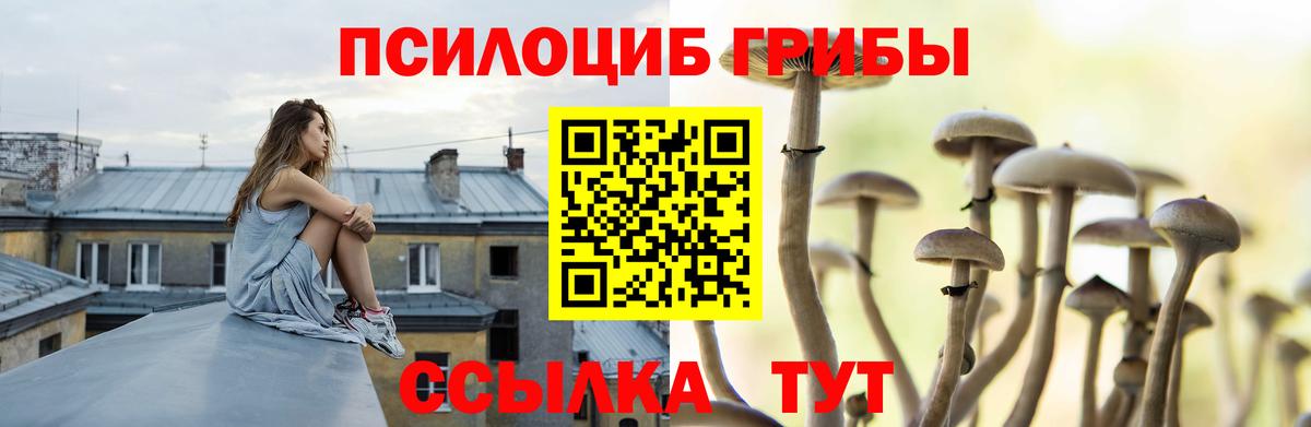 Галлюциногенные грибы Cubensis  Вход с VPN  Краснокаменск 